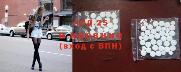 крисы Лагань