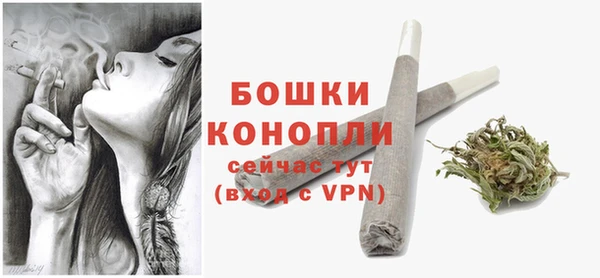 спиды Ладушкин
