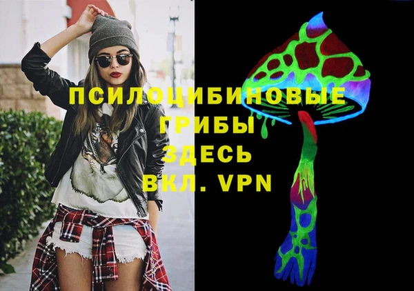 крисы Лагань