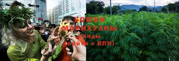 спиды Ладушкин